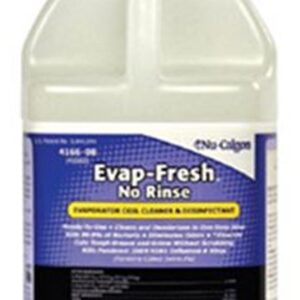 RS+ 4166-08 EVAP FRESH CLEANER