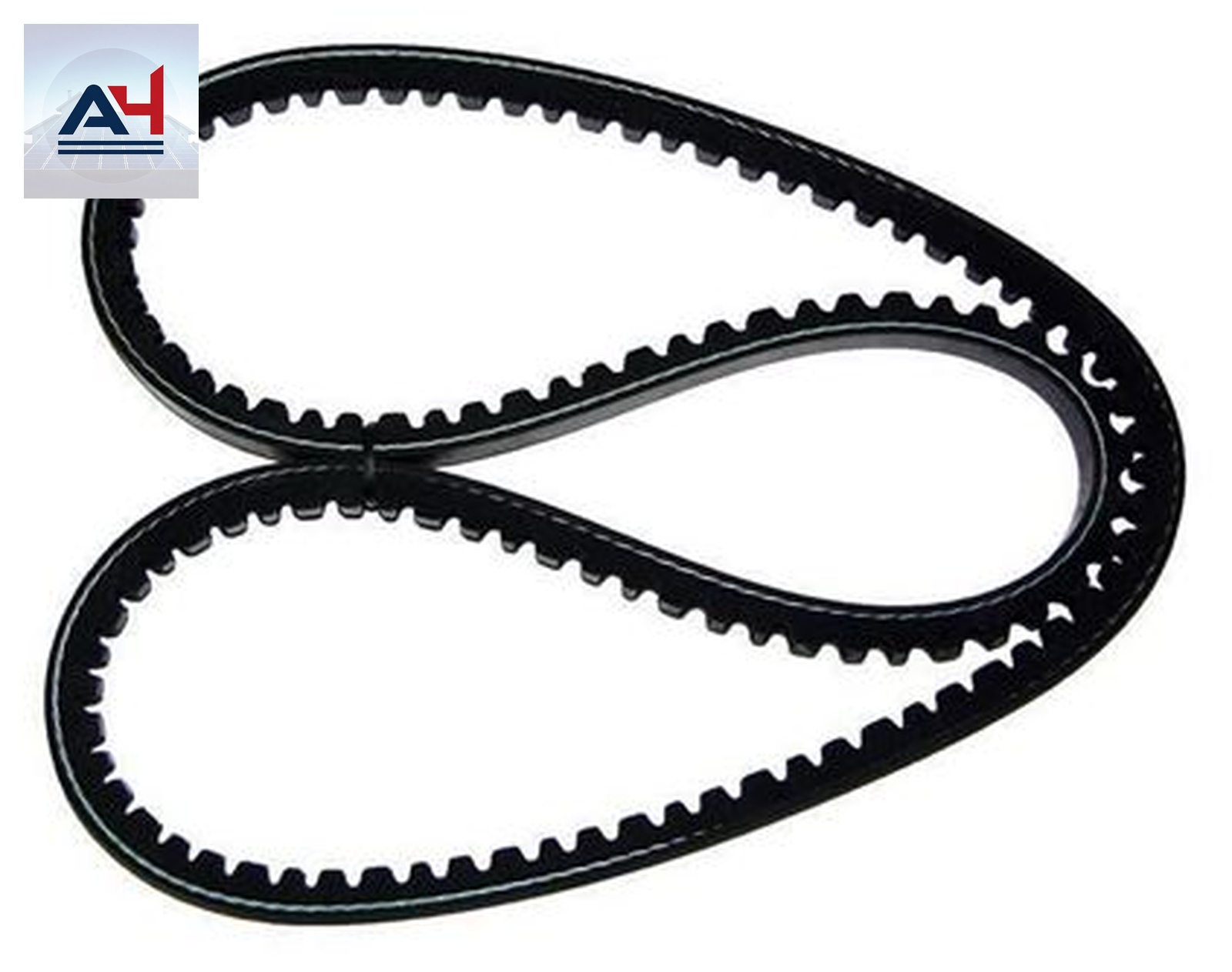 B77/5L800 V-Belt, 77 in. L x 21/32 in. W x