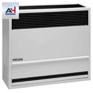 Williams 3003822 Direct-Vent Gravity Furnace, 30,000 BTU, Natural Gas
